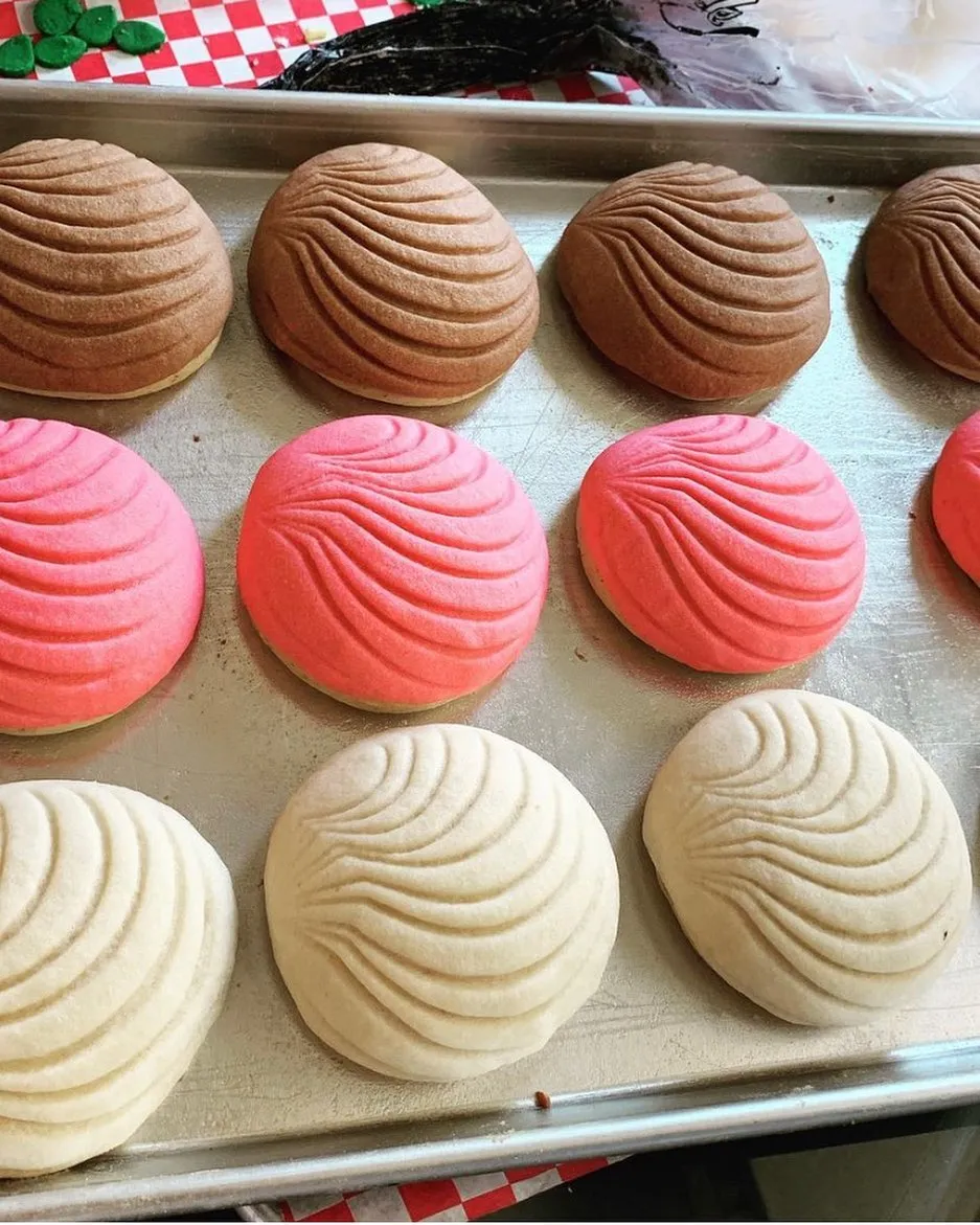 Traditional chocolate, pink and vanilla conchas fresh on a baking tray